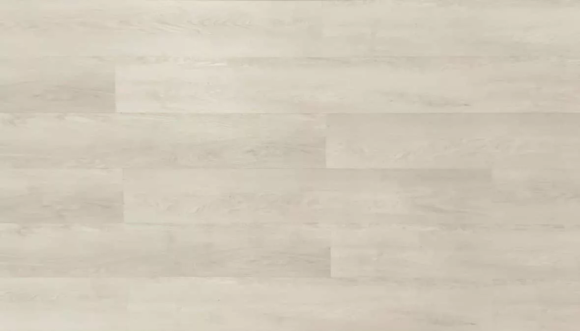 hermitage-2 Hermitage - Imagen 1