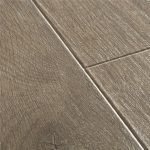 Roble bosque marrón