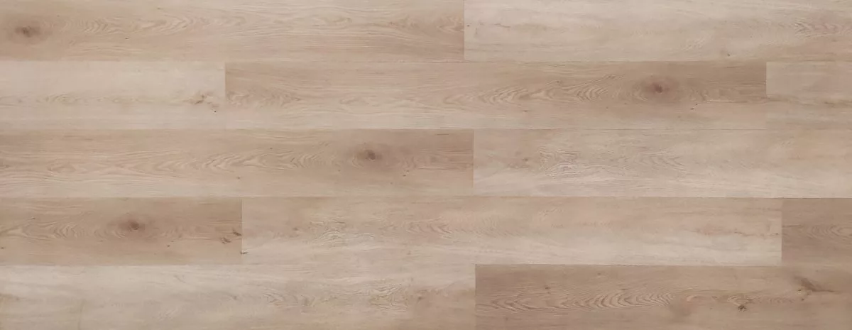 organza Organza - Imagen 1