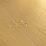 Roble Marrón galleta