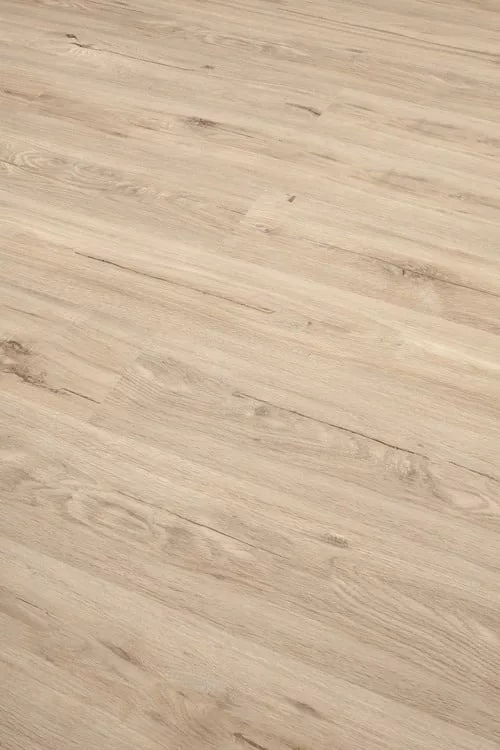 roble-troya Roble Troya - Imagen 1