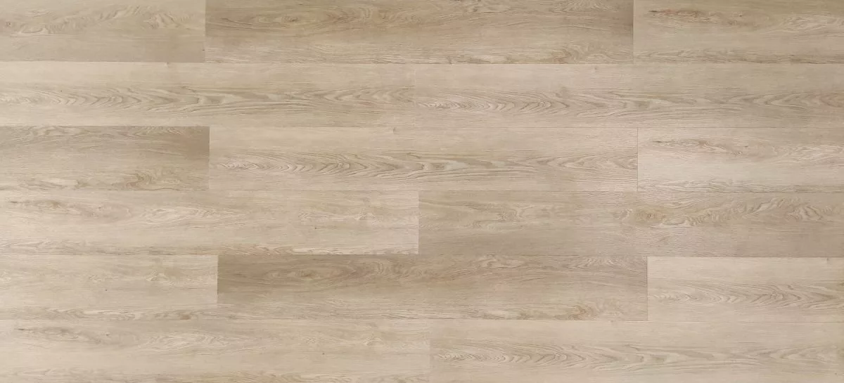 serralves-2 Serralves - Imagen 1