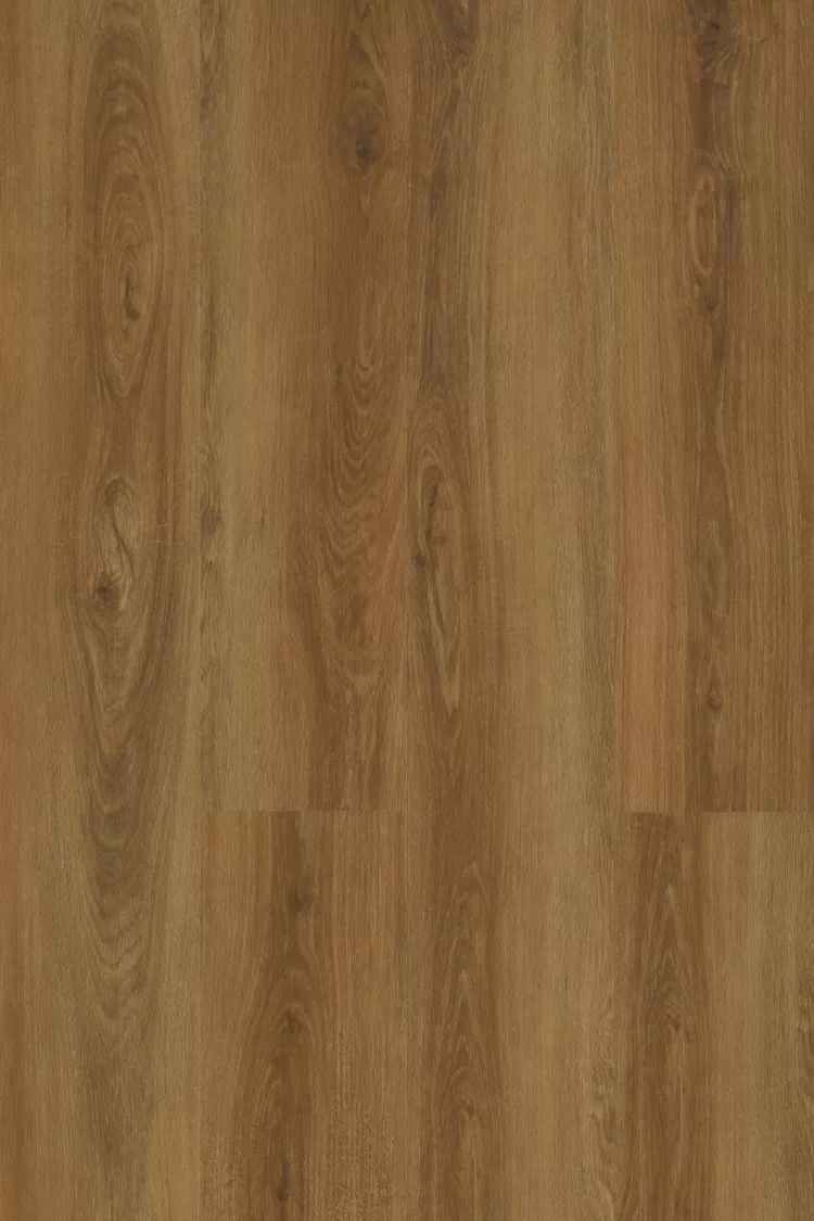 Galaxy Line XL Silence CARAMEL N Caramel - Imagen 1