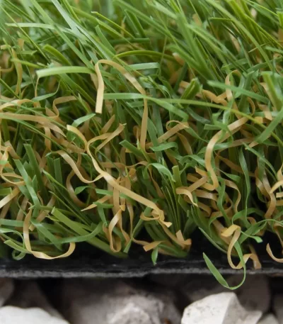 Césped Artificial Seychelles