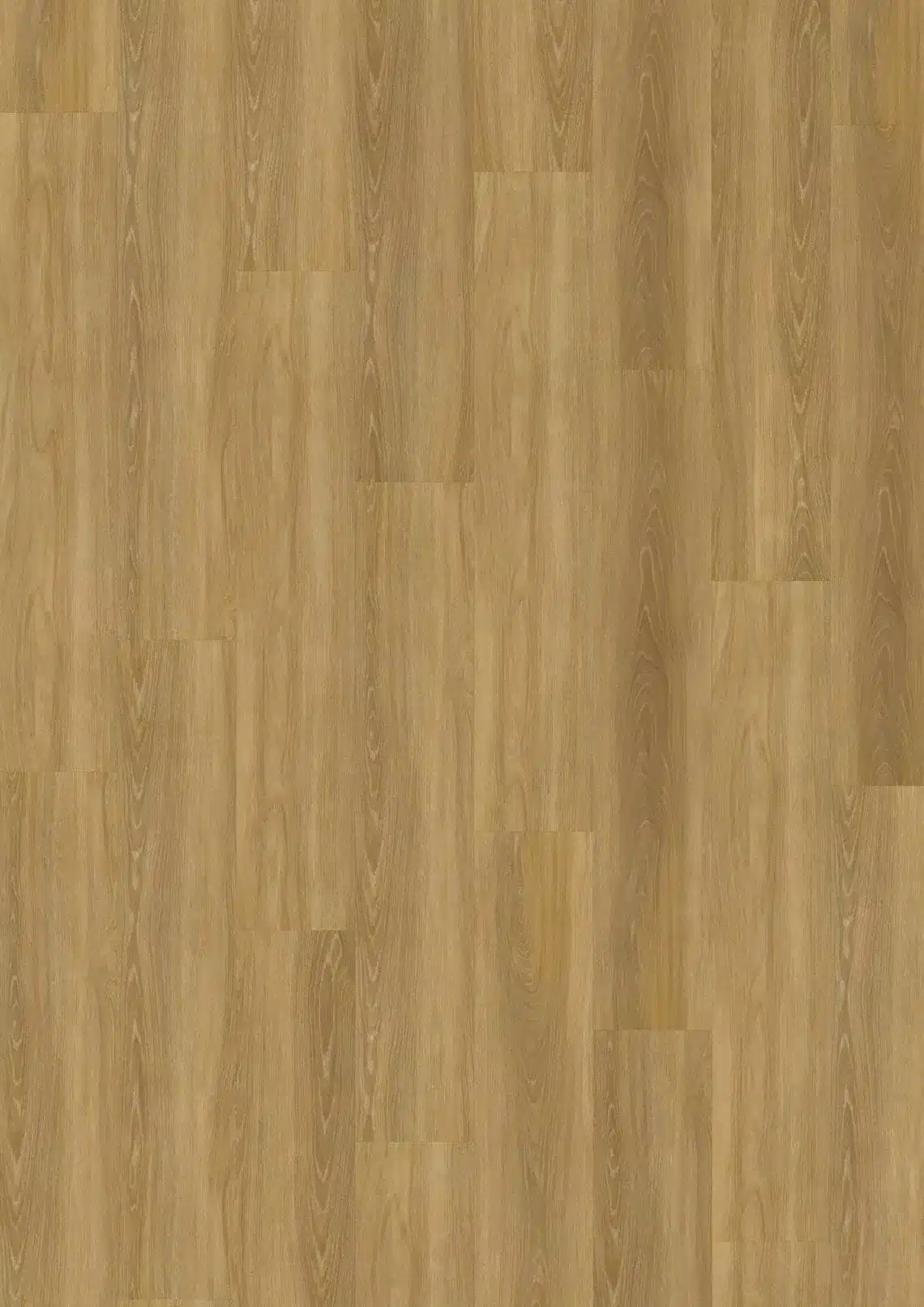 LTCLW2009-218 vinilo