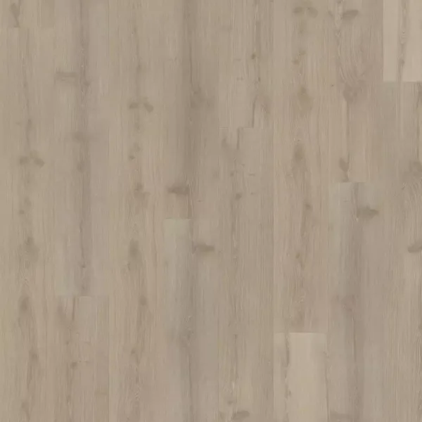 vinilo