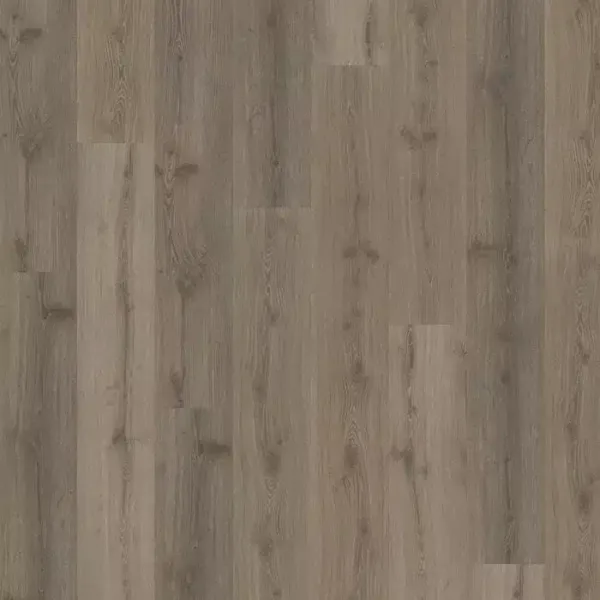 vinilo