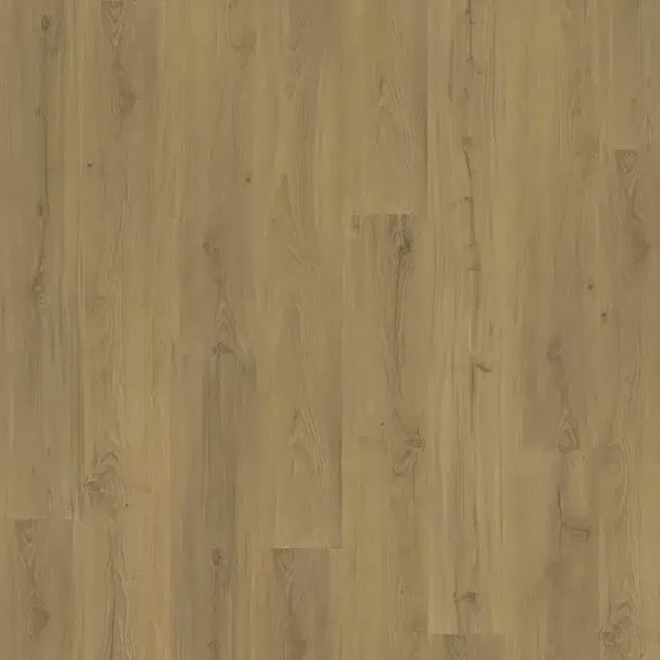 vinilo