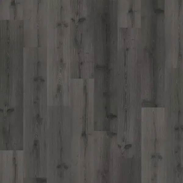 vinilo