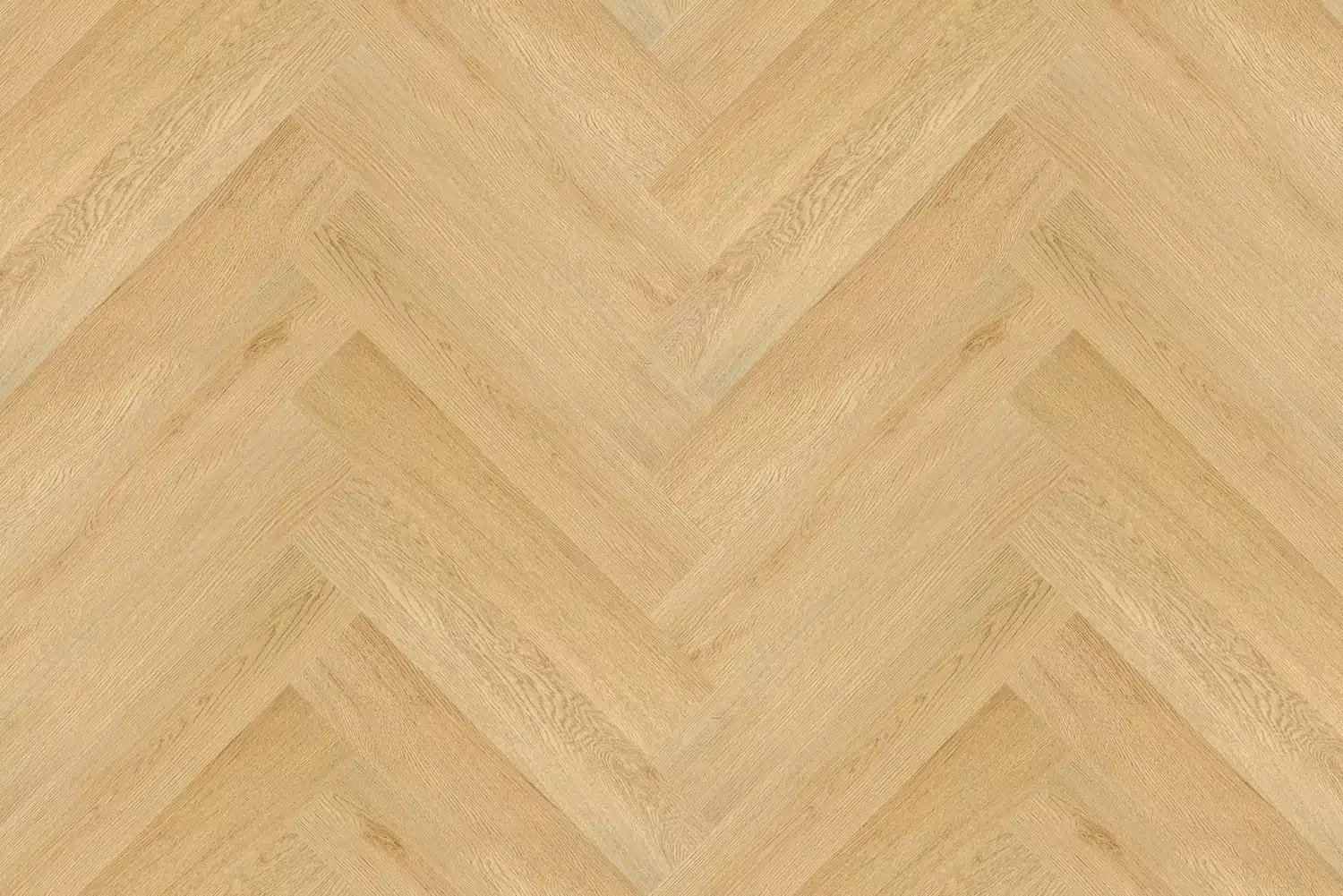 18+CIRINE Cirine Espiga - Imagen 1