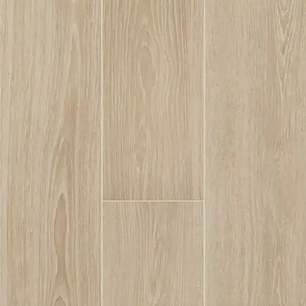 tongass Tongass - Imagen 1